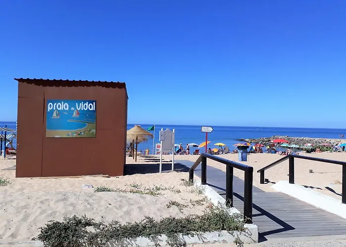 Mamamia Ac&vista Magnifica 奎特里拉